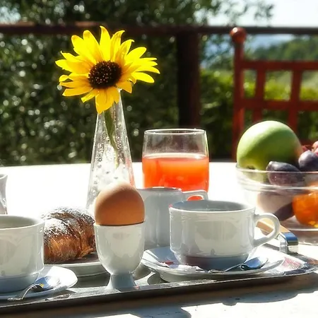 Nyaraló Holiday Tenuta Di Forte Sorgnano Peg021001 Dyb Gualdo Cattaneo